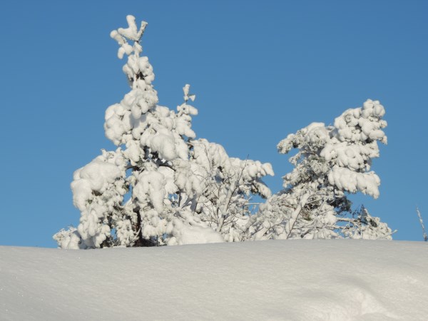 Vinterfoton / Winter photos