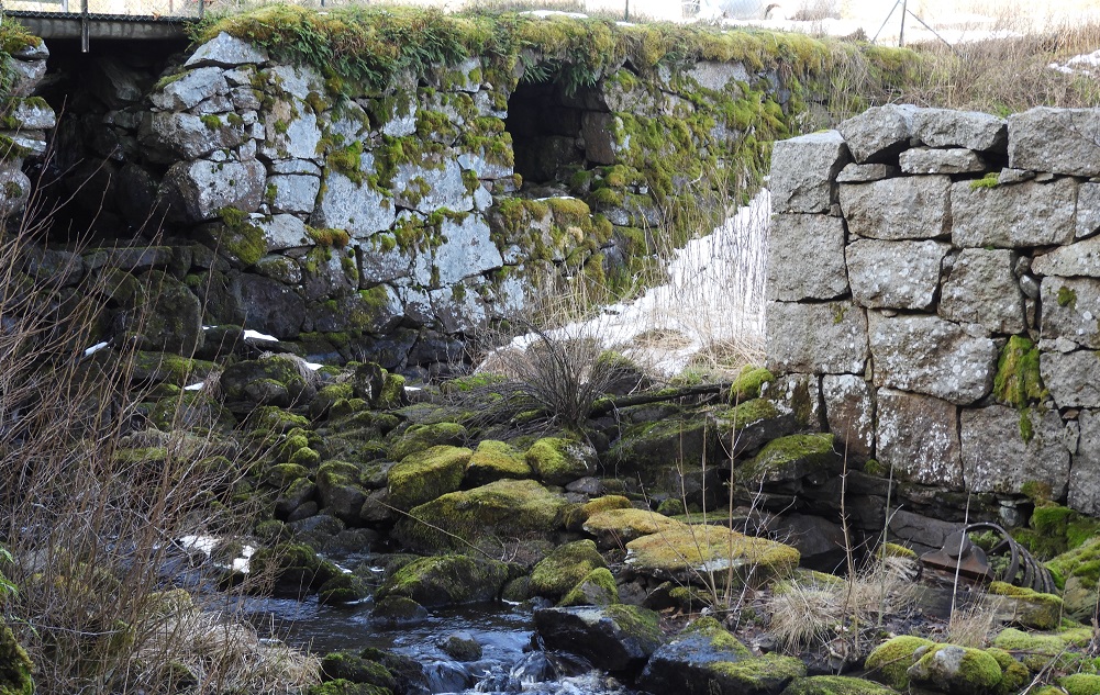 Kvarnen 2019